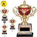 優勝カップ 高さ21.5cm 優勝カップ ゴルフ 名入れ トロフィー 運動会 スポーツ祭 還暦祝い 誕生日 名入れ プレゼント 名前入り 記念品 還暦 プレゼン...