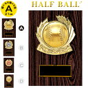トロフィー 盾 高さ21cm 野球 トロフィー サッカー ゴルフコンペ トロフィー バスケ バレー 賞品 景品 表彰盾 楯 卒団記念品 野球 ボール トロフィー...