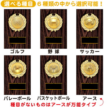 トロフィー 盾 高さ16cm バスケ トロフィー サッカー ゴルフコンペ トロフィー 野球 バレー 賞品 景品 表彰盾 楯 卒団記念品 バスケ トロフィー サッカー ボール 名入れ 1個から 卒業記念品 バスケ トロフィー サッカー ゴルフ コンペ用品 バレー 野球 ボール トロフィー 盾