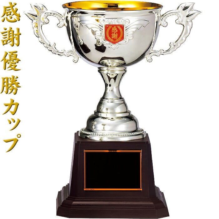 感謝 優勝カップ 高さ24.5cm 感謝 優勝 トロフィー 運動会 名入れ トロフィー 芸術祭 功労賞 記念品 還暦祝い 結婚記念日 感謝 結婚祝い 還暦祝い ...