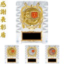 感謝 トロフィー 盾 高さ16.5cm 文化の日 名入れ 誕生日 プレゼント 感謝状 盾 子育て感謝状 表彰盾 還暦祝い 結婚記念日 感謝 誕生日 名前入り 結...