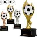 サッカー トロフィー 高さ21cm 卒団記念品 サッカー トロフィー サッカー 卒業記念品 名入れ 1個から サッカー トロフィー サッカー ボール 優勝 トロ...