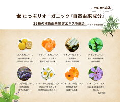 ハーブ