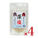 男鹿工房 男鹿半島 藻塩 40g × 4袋