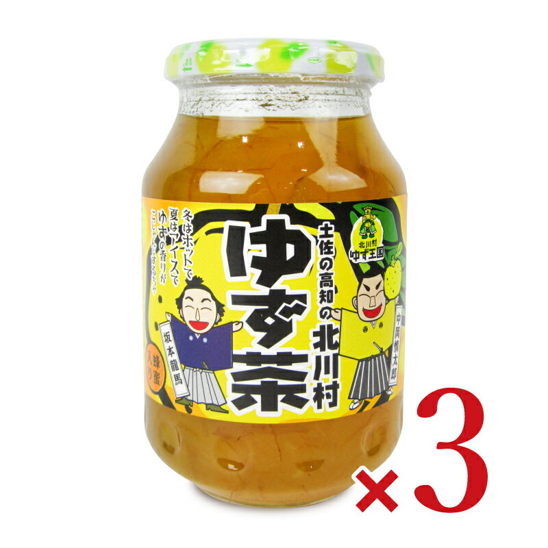 【ブラックフライデー限定!最大2000円OFFクーポン配布中!】北川村ゆず王国 ゆず茶 570g × 3個