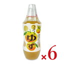北川村ゆず王国 つぶつぶゆず 480g × 6本