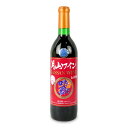 【マラソン限定!最大2000円OFFクーポン配布中!】《送料無料》月山ワイン 山ぶどう酒 720ml