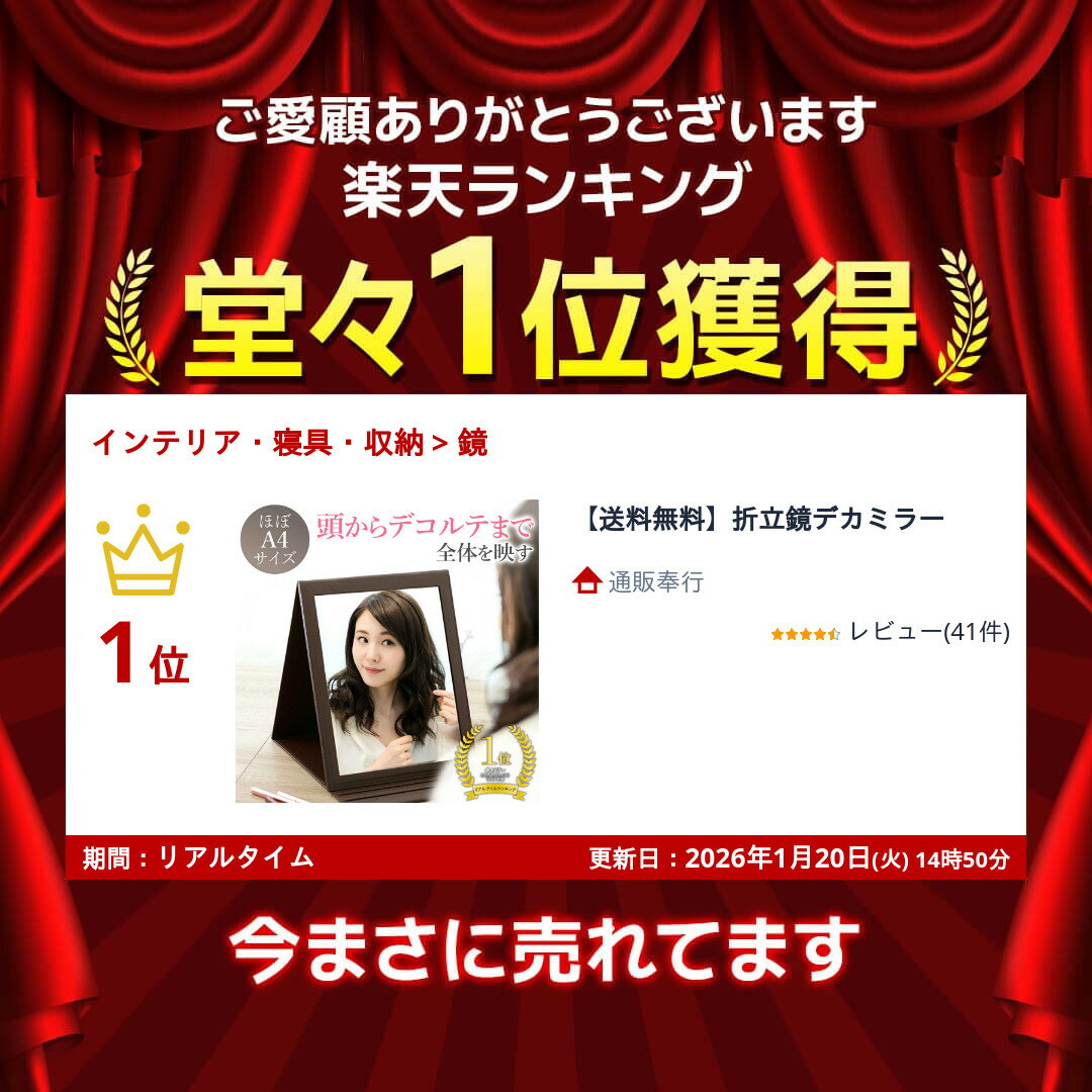 【送料無料】折立鏡デカミラー