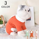 ドッグウエア 犬服 猫服 ペット服 ペットウエア 犬 猫 愛犬 ペット ペット用品 防寒 兎耳 パーカー カラフル あったか ペットグッズ 洋服 秋 冬 シンプル カジュアル かわいい メール便