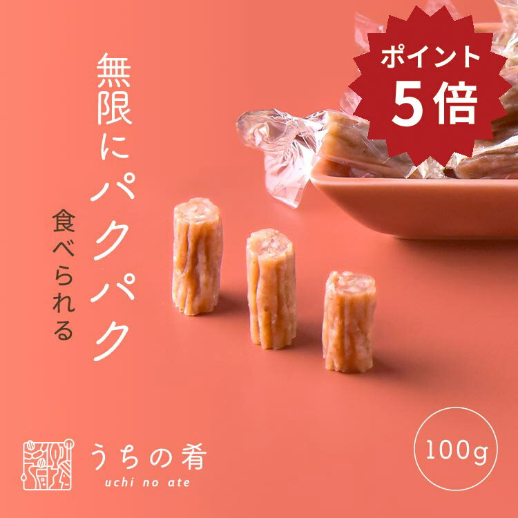  おつまみ プチギフト 素材のうま味が広がる サラミ チャック付き 珍味 サラミ 1袋 100g 送料無料 uchinoate