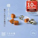 【マラソン限定10%OFFセール】 おつまみ お中元 プチギフト うにの旨み凝縮 焼きうに チャック付き 珍味 うに 1袋 40g 送料無料 uchinoate