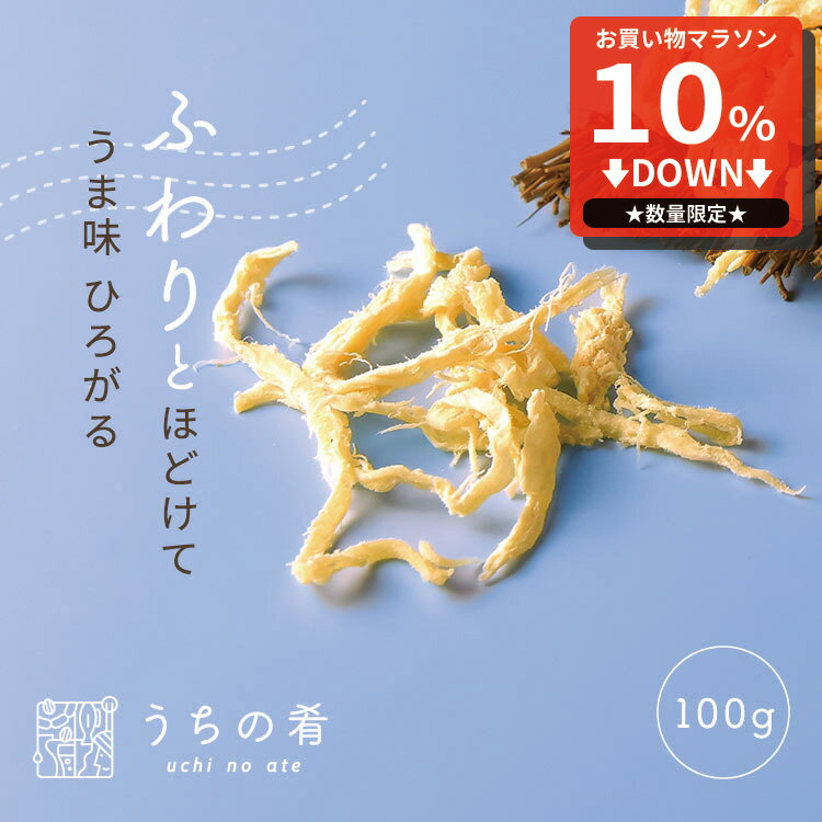 【マラソン限定10%OFFセール】 おつまみ 敬老の日 プチギフト 旨みがじゅわっ ソフトさきいか チャック付き 珍味 いか 1袋 90g 送料無料 ぽっきり ポッキリ uchinoate