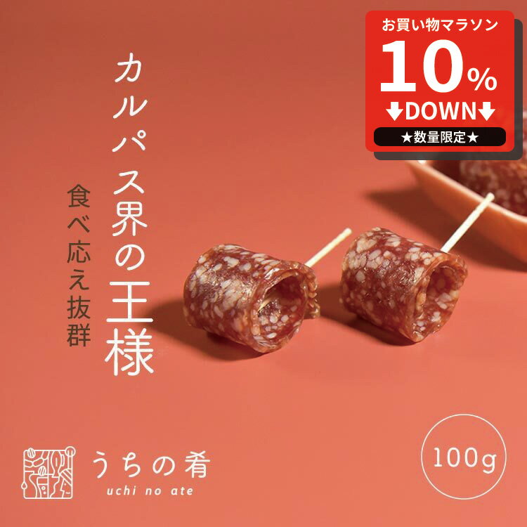 【マラソン限定10%OFFセール】 おつまみ 敬老の日 トンでる美味しさ 大判カルパス チャック付き 珍味 カルパス 1袋 100g 送料無料 うちの肴 うちのあて ぽっきり ポッキリ uchinoate