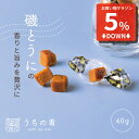 【スーパーセール5%OFF】 おつまみ プチギフト うにの旨み凝縮 焼きうに チャック付き 珍味 うに 1袋 40g 送料無料 uchinoate