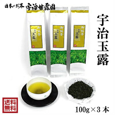 【5,000円→4,500円】 宇治玉露 100g×3本 送料無料 お茶 緑茶 玉露 煎茶 茶葉 日本茶 宇治茶 宇治煎茶 免疫力アップ応援 カテキン 京都府産 宇治田原町産 御歳暮 御年始 母の日 父の日 敬老の日 メール便