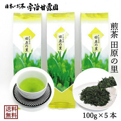 楽天黒烏龍・緑茶・焙じ茶の宇治甘露園煎茶 田原の里（たわらのさと） 100g×5本 送料無料 お茶 緑茶 煎茶 茶葉 日本茶 宇治茶 宇治煎茶 免疫力アップ応援 御歳暮 御年始 カテキン 京都府産 宇治田原町産 メール便