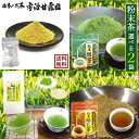 【エントリーでポイント10倍】 粉末茶 選べる2袋 送料無料 お茶 緑茶 煎茶 ほうじ茶 抹茶入り玄米茶 玄米 粉末 パウダー 国産 宇治茶 京都府産