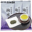 【クーポンで40％OFF】 【エントリーでポイント10倍】 宇治煎茶 掬水 80g×3袋 送料無料 お茶 緑茶 日本茶 煎茶 宇治茶 京都府産 国産 茶葉 メール便