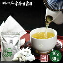 煎茶 ティーバッグ 10g×50包 コップ375杯分 送料無