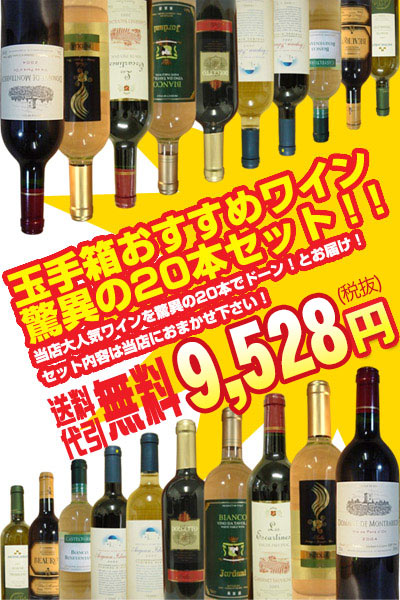 【送料無料】ワインセット うきうきワインの福袋！玉手箱オススメワイン20本セット 赤ワイン×白ワイン各10本コース