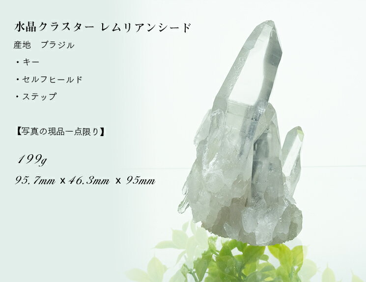 レムリアンシードクリスタル 199g 【開運グッズ 開運アイテム 開運 水晶】【一点物】【芸術 受験 合格祈願 美術 美大 音楽 音大 アート クリエイティブ】希少 レムリアンクラスター ブラジル産 天然石 水晶 パワーストーン 原石 玄関 置物 インテリア