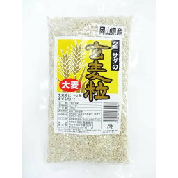 【産地直送品】【国定農産販売】大麦玄麦粒【450g入り】自家栽培で安心安全な国産の健康食。白米と混ぜて炊いて麦入りごはんに。お中元