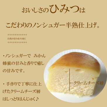 【送料無料】ノンシュガー　濃厚はんじゅくチーズケーキ　みかん蜂蜜入り　6個