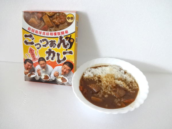 【送料無料】海洋高校生徒さん作る海の幸、ごっつぁんカレー180g×10