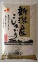 【送料無料】令和5年度産 新米　新潟県産こしひかり10キログラム×8