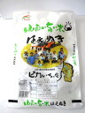 【送料無料】令和元年産 新米　山形県産はえぬき5キログラム×5