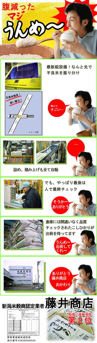 【送料無料】令和5年度産 新米10キログラム×4　岩船産こしひかり 2