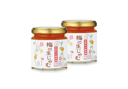 梅の生ジャム 180g×2個入りのサムネイル