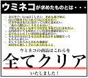 シークレットインソール 「モコッチ」 セット メンズ レディース 3cm 冷え性 身長アップ 中敷き 簡単 脚長ビジネスシューズ 美脚ブーツ 消臭 防臭 疲れにくい 男女 22.5-27cm 軽量 衝撃吸収 シークレット インソール シークレットシューズ かかと 2