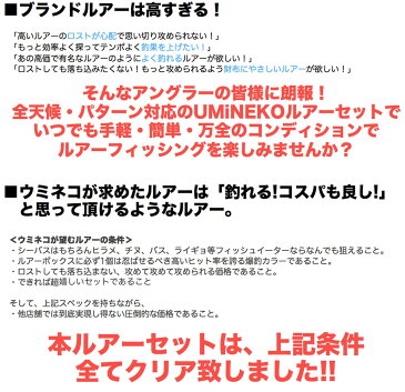 送料無料 UMiNEKO メタルジグ セット ジギング ルアー セット 8cm 30g 岸壁 サーフ 湾奥 専用 12色 フックなし ケース シルバー ブルー ピンク イワシ コットンキャンディ バール ホワイト ブラック イエロー アワビ レッドヘッド シーバス スズキ アジ 青物 ライトショア