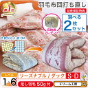 羽毛布団 シングル 打ち直し 【月間優良ショップ】収納袋 プレゼント リフォーム ダブル 2枚セット クリーニング 掛 春夏秋冬 薄手 超軽量 ランキング1位 工場直販 足し羽毛 ホワイトダック オールシーズン 肌 合 本 2枚を1枚に