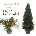 【只今店内全品P5倍】クリスマスツリー 北欧 おしゃれ プレミアムウッドベースツリー150cm オーナメント 飾り なし ポットツリー ヌードツリー インテリア