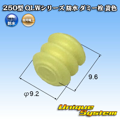 ŲŹ 250 QLW꡼ ɿ ߡ 