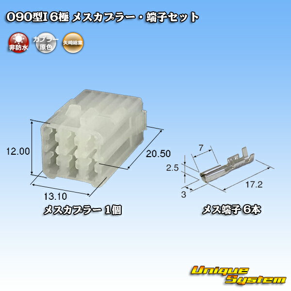  090I 6 ᥹ץ顼üҥå 1