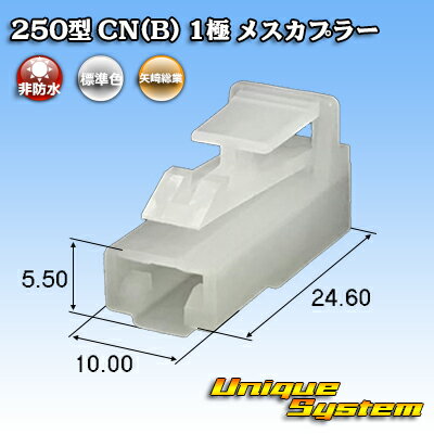  250 CN(B) 1 ᥹ץ顼