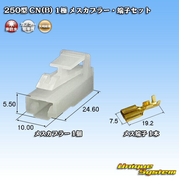 葍 250^ CN(B) 1 XJv[E[qZbg