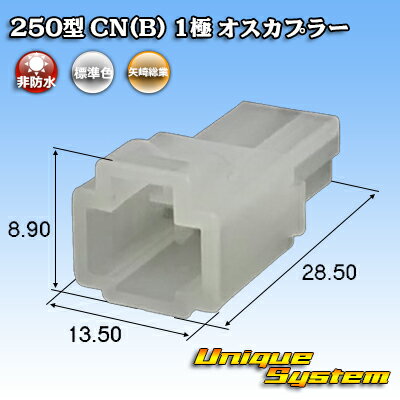  250 CN(B) 1 ץ顼