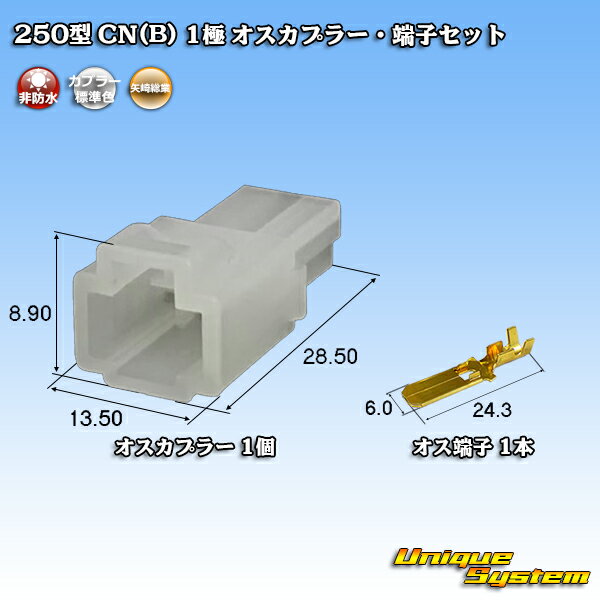 250 CN(B) 1 ץ顼üҥå