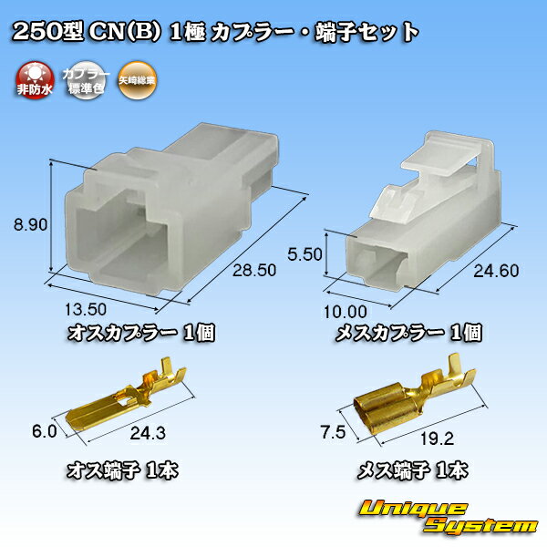  250 CN(B) 1 ץ顼üҥå