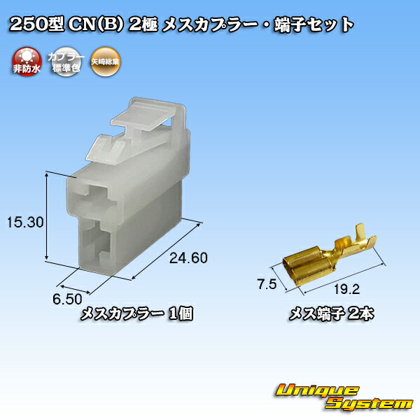 Rakuten - 矢崎総業 250型 CN(B) 2極 メスカプラー・端子セット