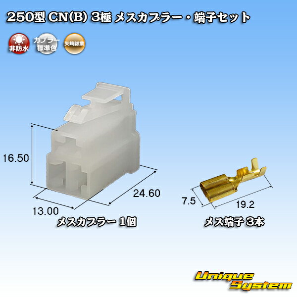 葍 250^ CN(B) 3 XJv[E[qZbg