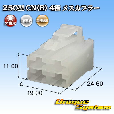  250 CN(B) 4 ᥹ץ顼