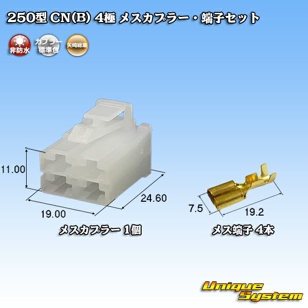  250 CN(B) 4 ᥹ץ顼üҥå