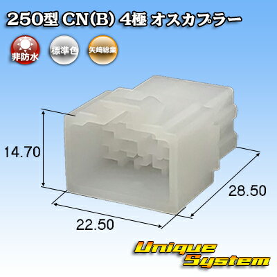  250 CN(B) 4 ץ顼