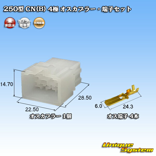  250 CN(B) 4 ץ顼üҥå