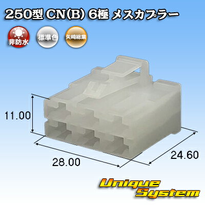  250 CN(B) 6 ᥹ץ顼